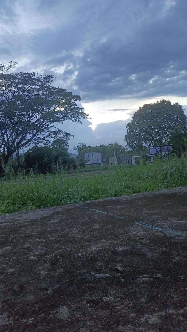 ภาพที่อบอุ่นและสวยงาม