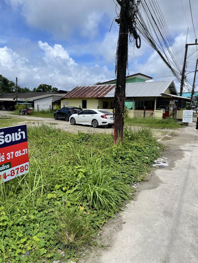 ขาย/เช่า ที่ดินตัวเมืองระนอง 4