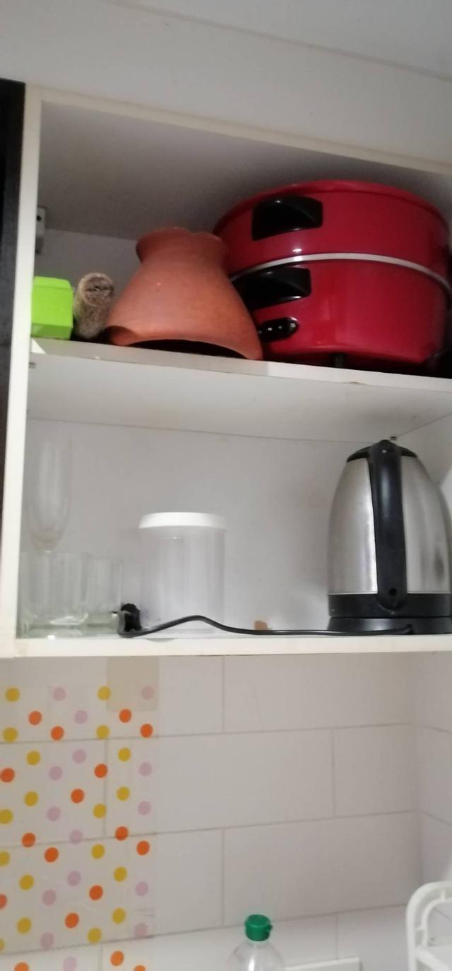 ให้เช่าคอนโดลุมพินีวิลล์รามคำแหง 44 30 ตรม ชั้น 6 วิวสระว่ายน้ำ 8000 บาทเท่านั้น 3