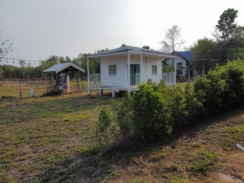 ขายที่ดิน 3 ไร่ ในเขตเทศบาล อ.บ้านม่วง สกลนคร พร้อมอาคารใหญ่ ทำรีสอร์ท บ้านเช่า โกดังหรือศูนย์กระจายสินค้าได้ทันที 7