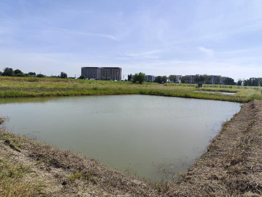 land for sale ขายที่ดินสวยมาก กำแพงแสน แบ่งขายได้ โฉนดพร้อมโอน 200 ตรว แบ่งขายได้ 4