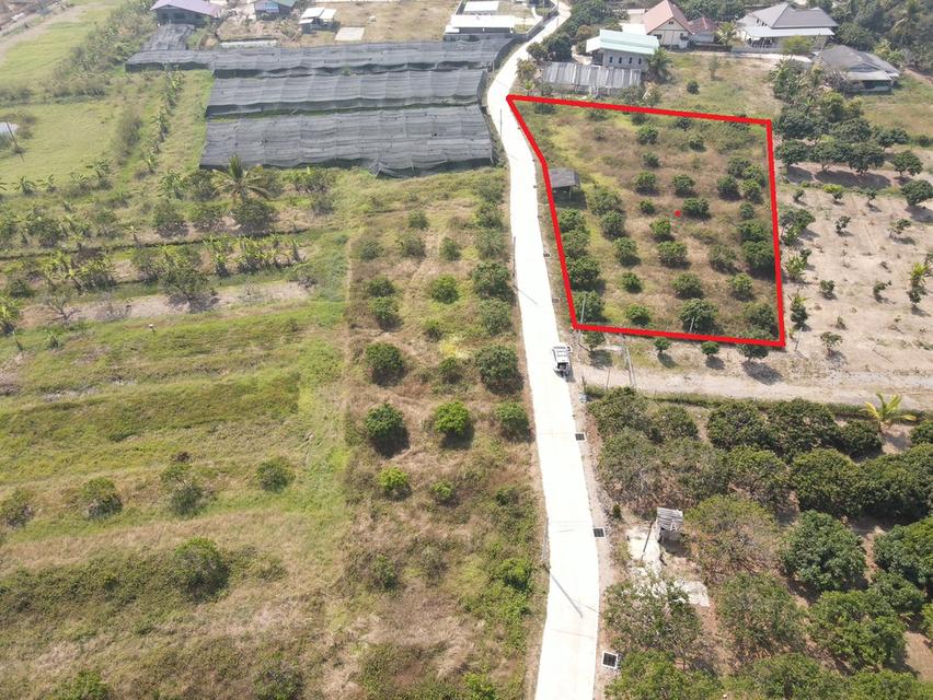 ที่ดินแบ่งขาย 66-274 ตร.วาถมแล้ว ติดถนนใหม่ ทำเลน่าอยู่ ใกล้นิคมลำพูน 6