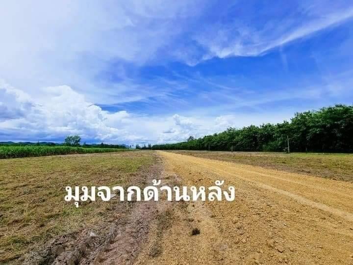 ที่ดิน 200ตารางวา เขากระปุก ท่ายาง เพชรบุรี 9