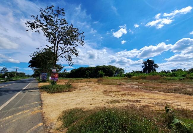 ขายที่ดิน ตำบลคู้ยายหมี อำเภอสนามชัยเขต ฉะเชิงเทรา ตรงข้ามเทศบาลสนามชัยเขต 5