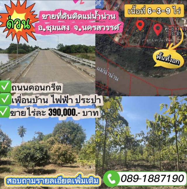 ขายที่ดินติดริมแม่น้ำน่าน อำเภอชุมแสง จังหวัดนครสวรรค์ 1
