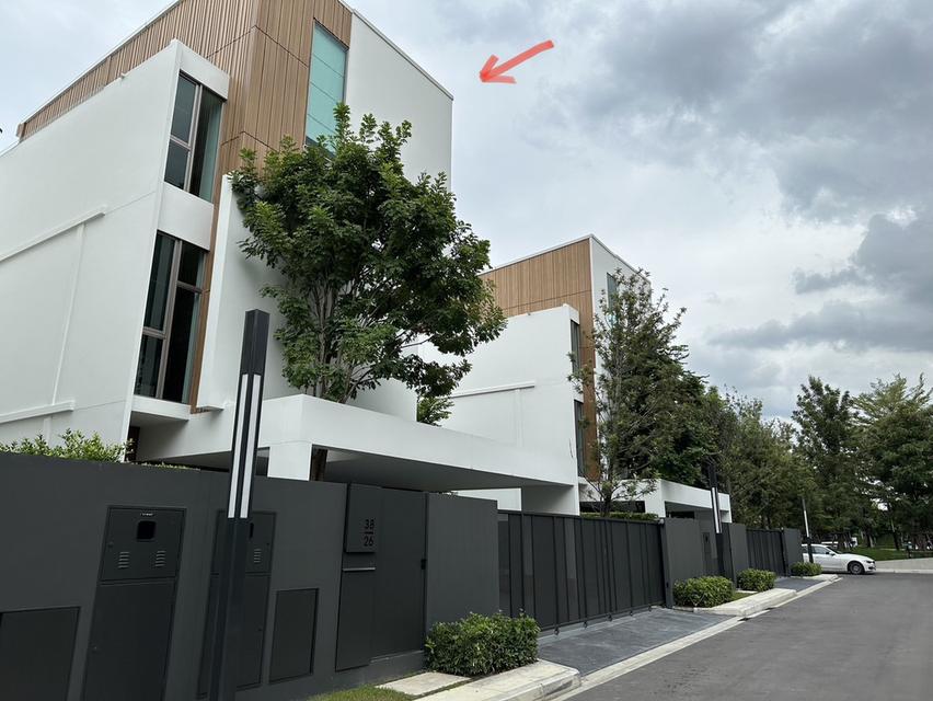 บ้านเช่าสไตล์ Japandi House 17