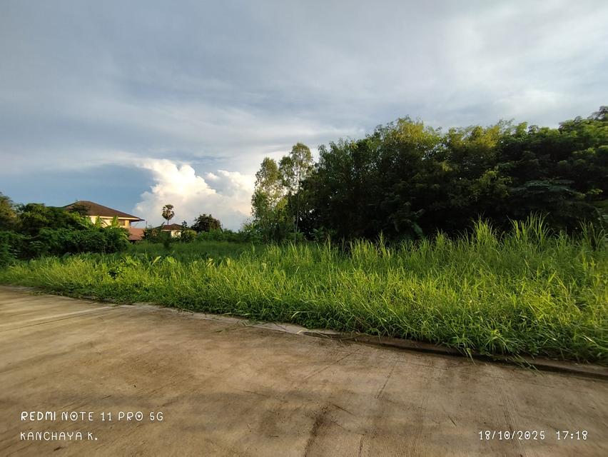 ถูกที่สุด!! ที่ดินเปล่า หลังตึกทรู บ้านคลอง พิษณุโลก 3