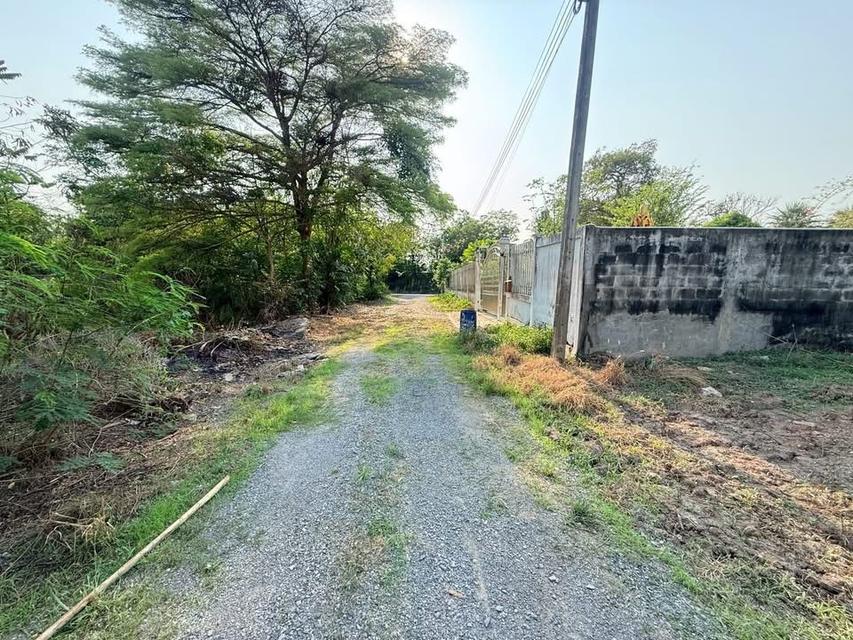 ขายด่วนที่ดิน 400 ตารางวา ติดถนนสาธารณะ คลองถนน บางใหญ่ นนทบุรี 3