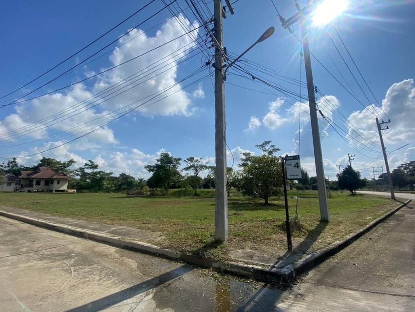 ขายบ้านและที่ดิน ให้เช่า 2