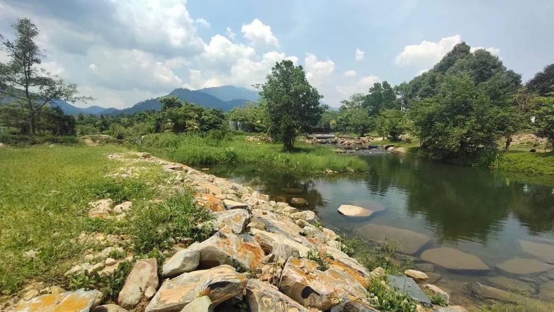 ที่ดินสวนทุเรียน ติดน้ำตกทุ่งเพล อ.มะขาม จ.จันทบุรี 10 ไร่ 9