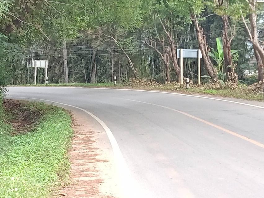 ขายที่ดิน วิวภูเขา 360 องศา เอกสารพร้อมโอนเหมาะสำหรับทำโรงแรม รีสอร์ท บ้านจัดสรร 4