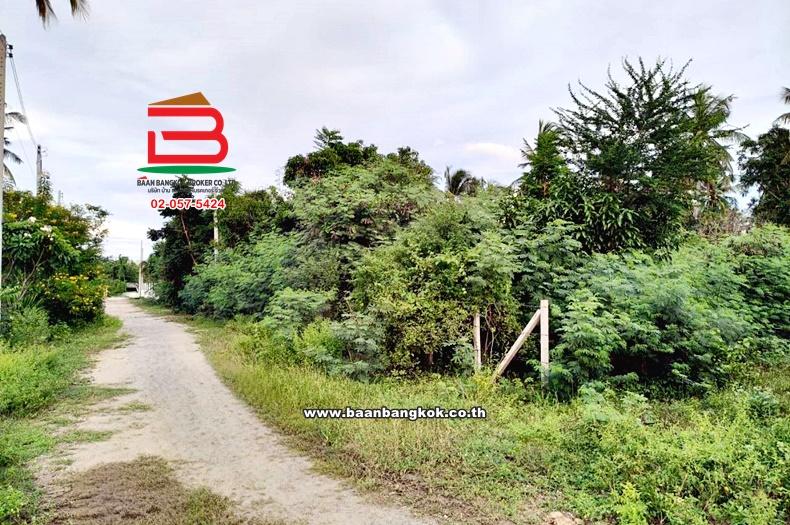 ที่ดินเปล่า ซอยสามร้อยยอด 23 เนื้อที่ 330 ตร.ว (ใกล้หาดสามร้อยยอด) ถนนเพชรเกษม ตำบลสามร้อยยอด อำเภอสามร้อยยอด จังหวัดประจวบคีรีขันธ์ 3