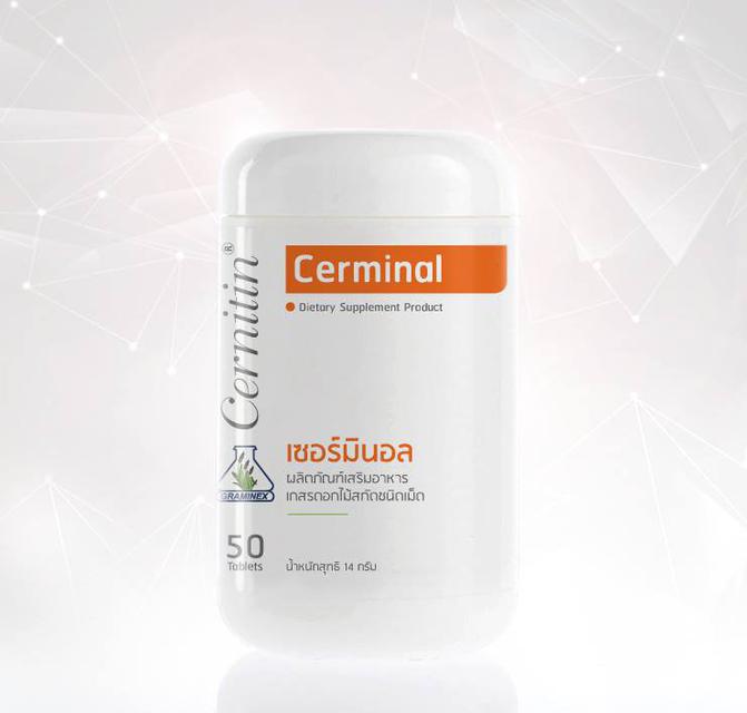 CERMINAL เซอร์มินอล (สีส้ม),ช่วยบำรุงโลหิต,มีกรดอมิโน  1