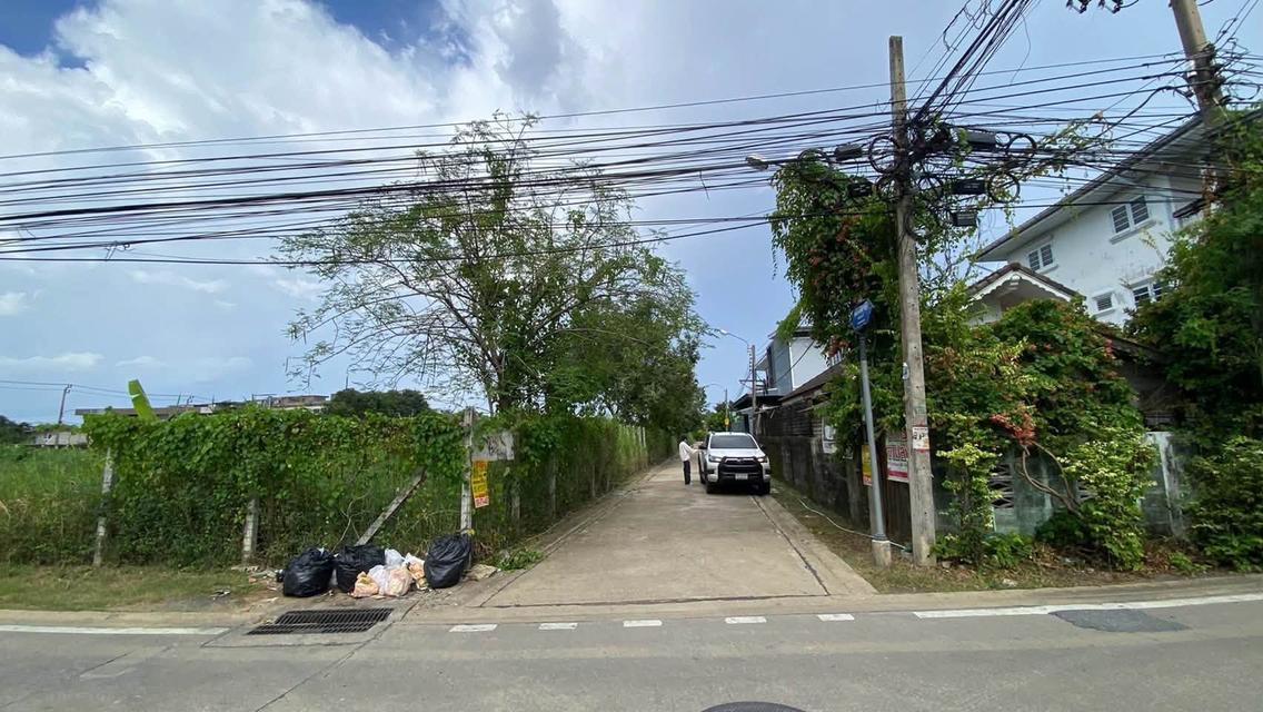 ขายด่วนที่ดินต่ำกว่าราคาประเมิน 108 ตรว ติดถนนคอนกรีต ซ.เพชรเกษม 108 ภาษีเจริญ กรุงเทพฯ 12