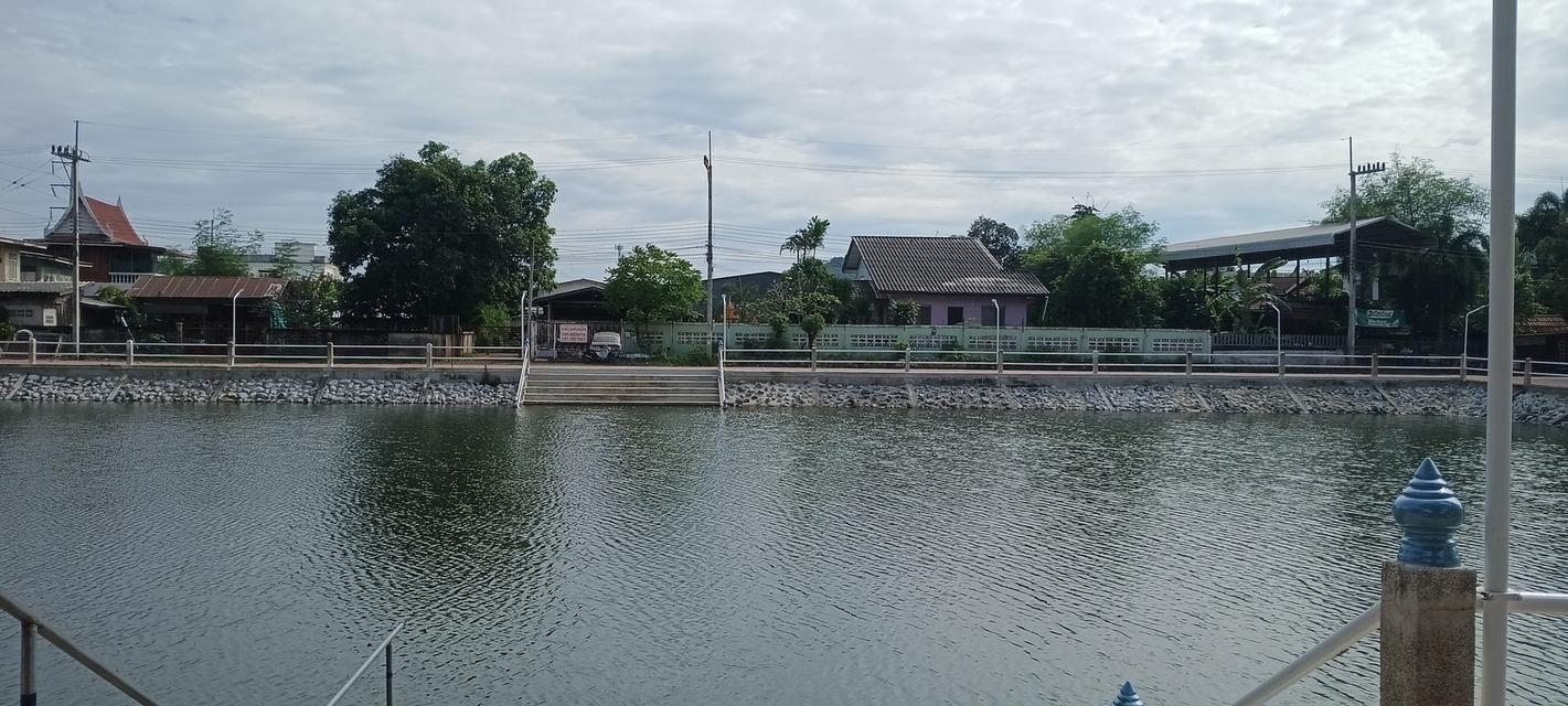 บ้านและที่ดิน 180ตรว. อยู่ใน อ.หนองม่วง จ.ลพบุรี 1