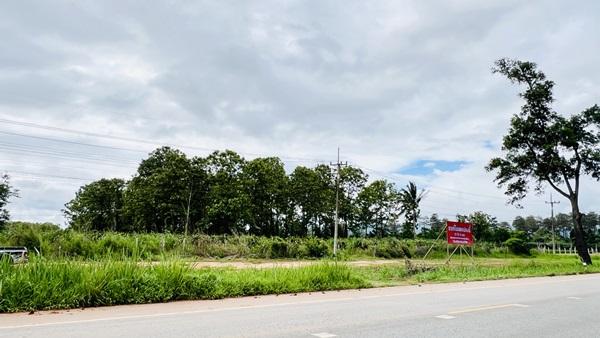 ขายที่ดิน อำเภอภูเรือ จังหวัดเลย 21 ไร่ 3 งาน 15 ตร.ว. ติดถนนทางหลวงหมายเลข 21 โทร 094-9154199 3