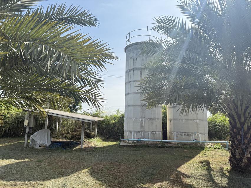 ที่ดิน 9ไร่ 1งาน 38ตารางวา สวนผลไม้ พร้อมบ้าน และสิ่งปลูกสร้าง 7