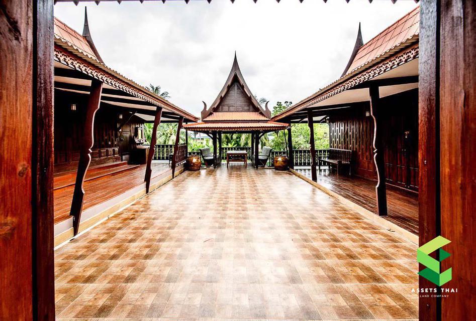 ♦️Hot Deal Investment Location❗️ Land for Sell 10 rai at Phanasom Cafe&Resort nearby Mahidol University Salaya 4