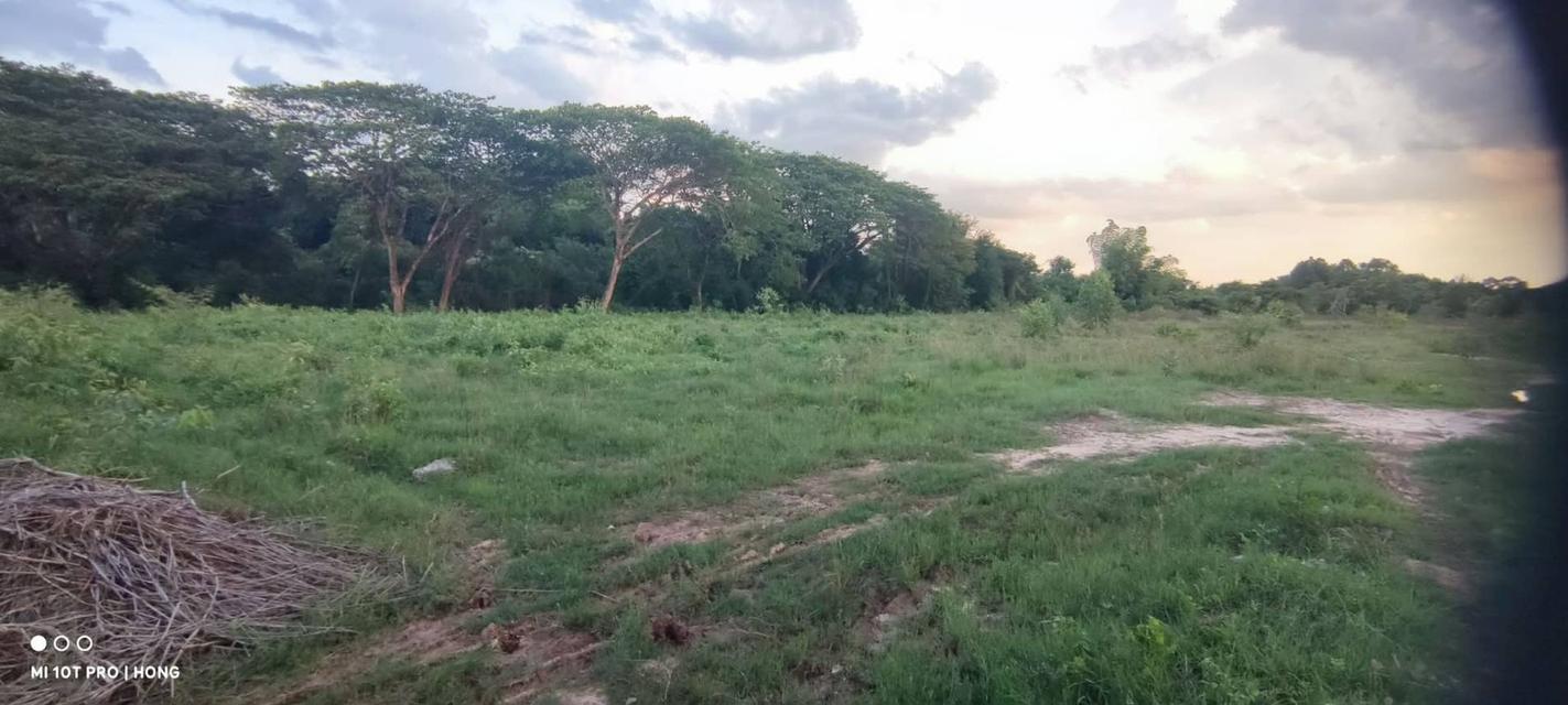ขายที่ดินอุดรธานี 26 ไร่ ไกล้สนามบิน 3