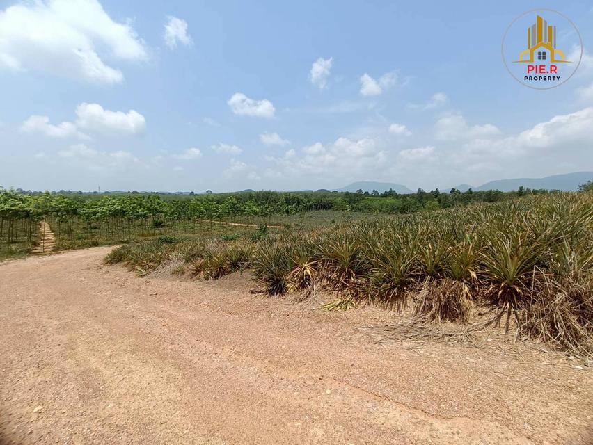 ลงทุนเพื่ออนาคต! ที่ดิน41-369ไร่ อ.เมืองระยอง l ใกล้ถ.สุขุมวิท(เดินทางเชื่อมต่อไปตัวเมืองระยองสะดวก) 9