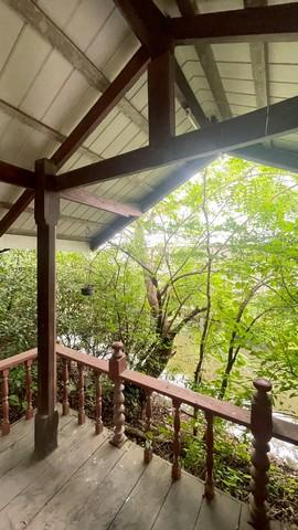 ขายบ้านเดี่ยวพร้อมที่ดินติดคลองและสวน เนื้อที่กว้างใหญ่ 1 ไร่ 170 ตร.ว. ซอยไทยร่มเกล้า ถ.กาญจนาภิเษก บางใหญ่ 5