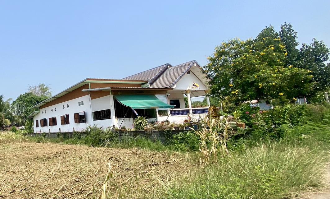 ขายบ้านพร้อมที่ดิน 360 ตารางวา 3