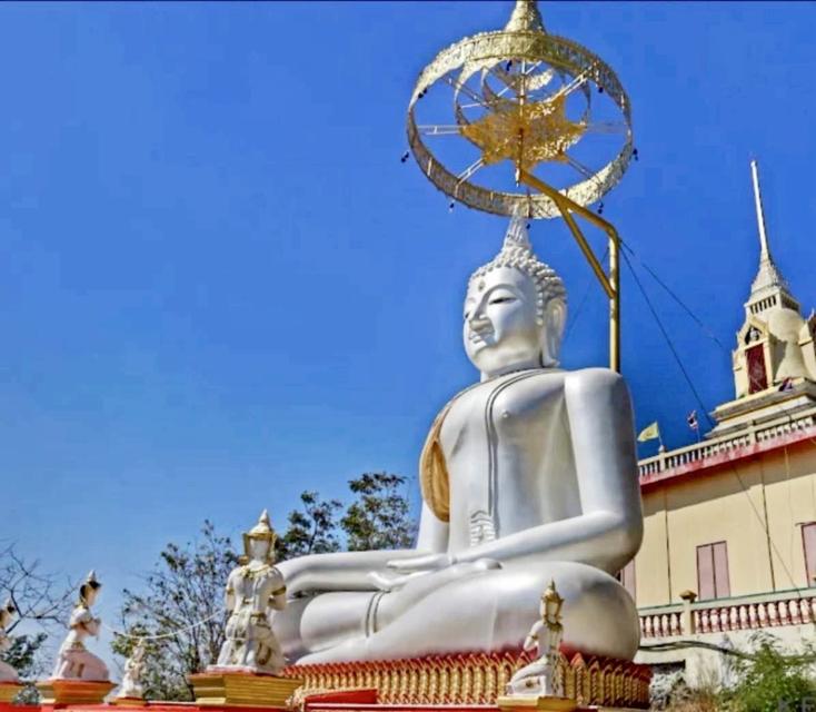 ที่ดิน โคกสำโรง ลพบุรี ขนาด 200 ตร วา 150000 บาท 8