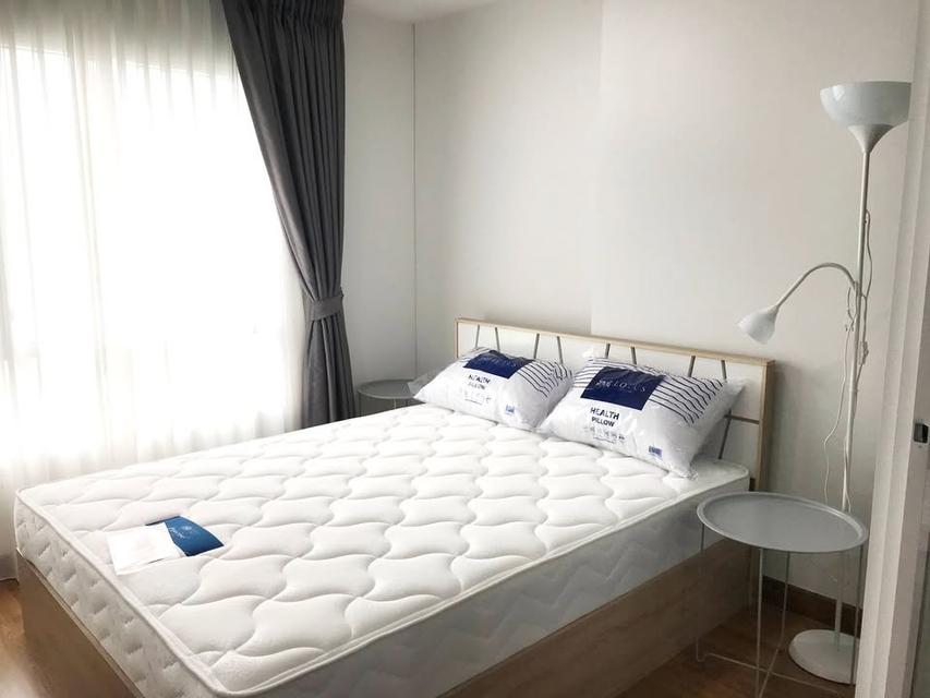 ให้เช่าคอนโด Regent Home Sukhumvit 81 (รีเจ้นท์ โฮม สุขุมวิท 81) BTS อ่อนนุช 2