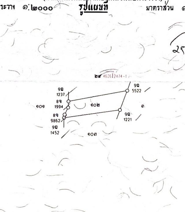 ที่ดิน บางมรวน ตะกั่วป่า พังงา 3