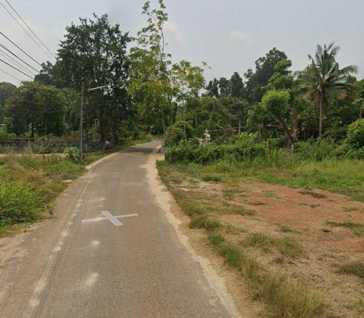 ขายที่ดินท่าถ่าน 2 ไร่ ติดถนนลาดยาง ใกล้ถนนเส้น319-1.1กม. อ.พนมสารคาม ฉะเชิงเทรา 1