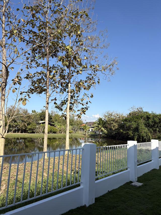 พูลวิลล่าเชียงใหม่ new brand Chiangmai pool viila 10