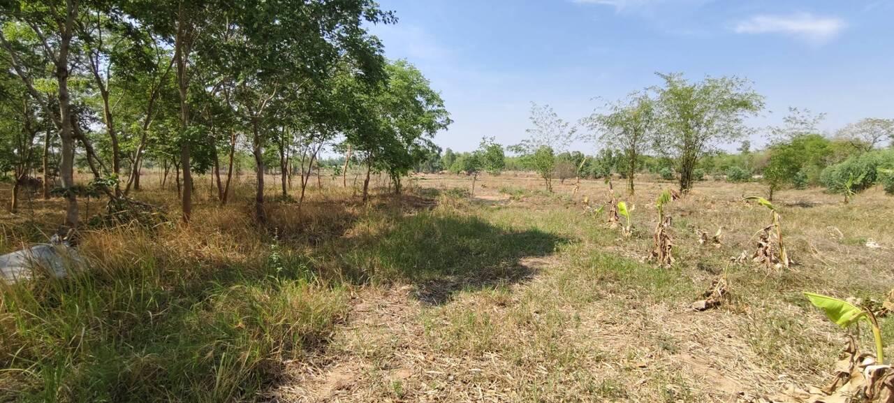 ที่ดิน 40-1-9 ไร่ อำเภอสมเด็จ จังหวัดกาฬสินธุ์ ราคาถูก 15