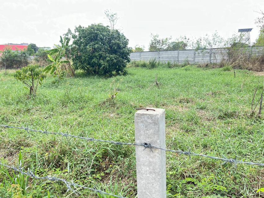 ขายที่ดินแปลงสวย ทำเลดี 12