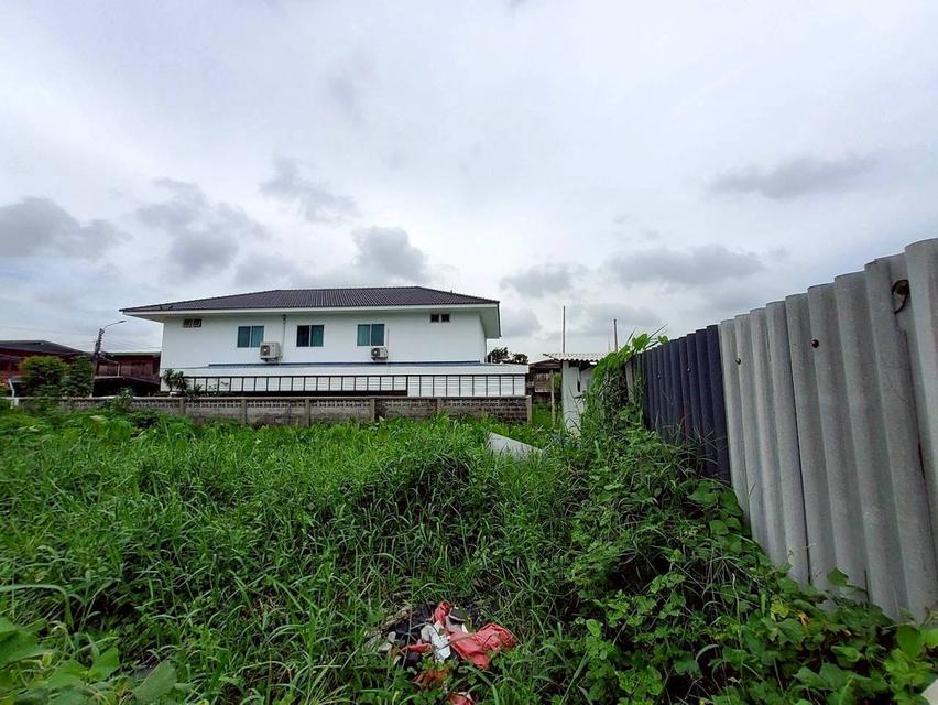 ขายถูก ที่ดินใกล้รถไฟฟ้าสายสีม่วง 103 ตารางวา แปลงมุม ติดถนนคอนกรีตสาธารณะ ซอยวัดไผ่เหลือง อ.บางบัวทอง จ.นนทบุรี