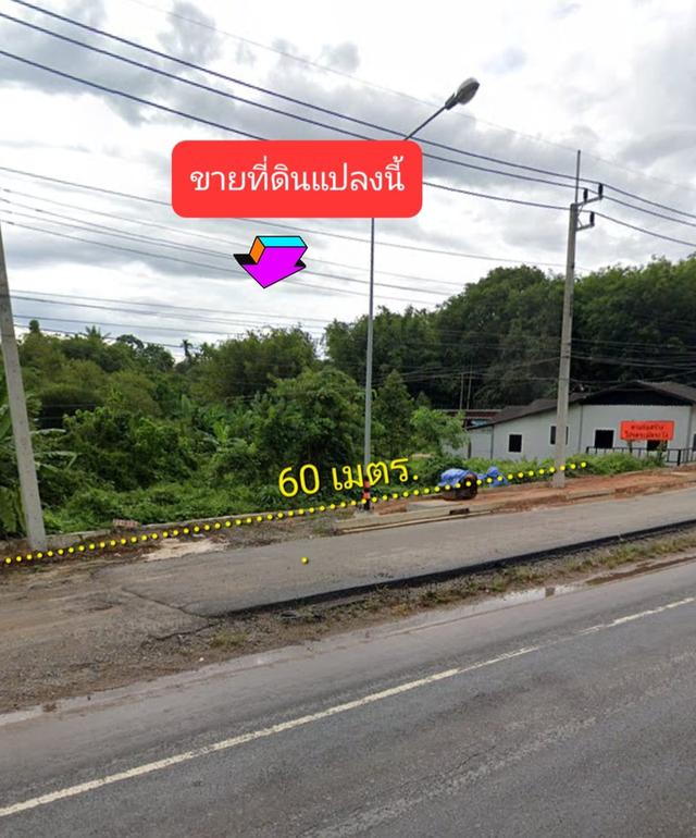 ขายที่ดินติดถนน อำเภอบ้านนาสาร สุราษฯ 6