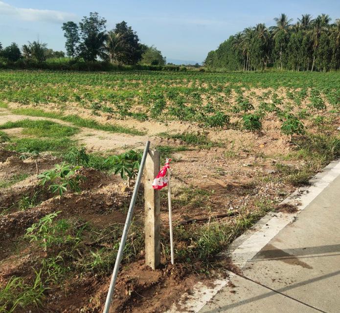 ขายที่ดินบึง หนองแขวะติดถนนคอนกรีต 1 ไร่ 3 งาน ใกล้ถนนเส้น3009-850เมตร อ.ศรีราชา ชลบุรี