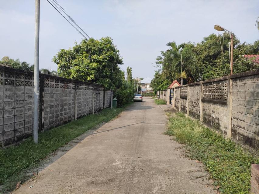 ให้เช่าที่ดินเปล่าถมแล้วในถนนมัยลาภ กรุงเทพมหานคร 3