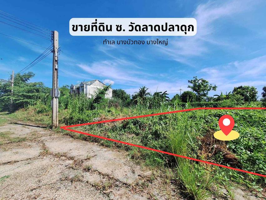ขาย ที่ดิน บางบัวทอง ซอย วัดลาดปลาดุก 107 ตร.ว. แปลงสวย ริมในสุด 1
