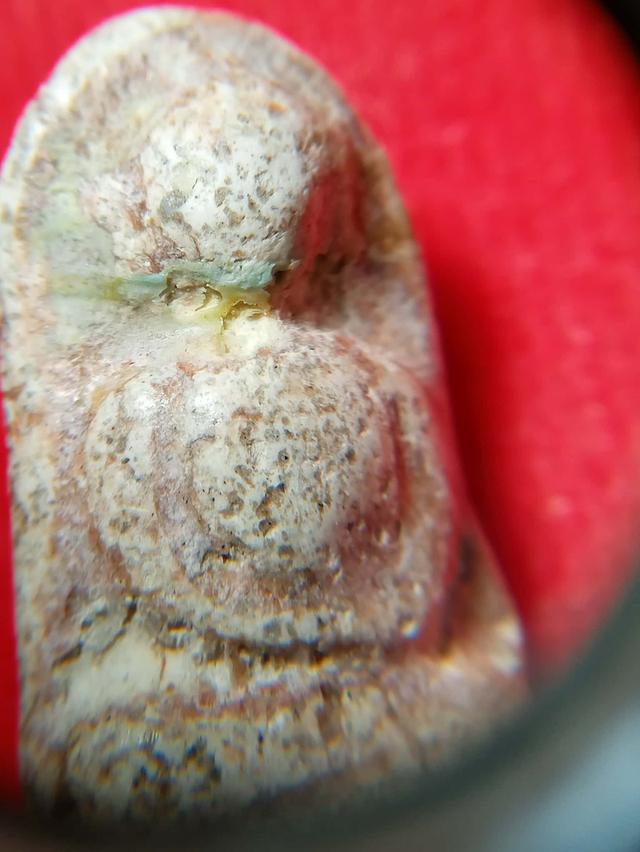 พระสมเด็จวัดพลับเก่าๆเนื้อเน่าจัดจ้าน