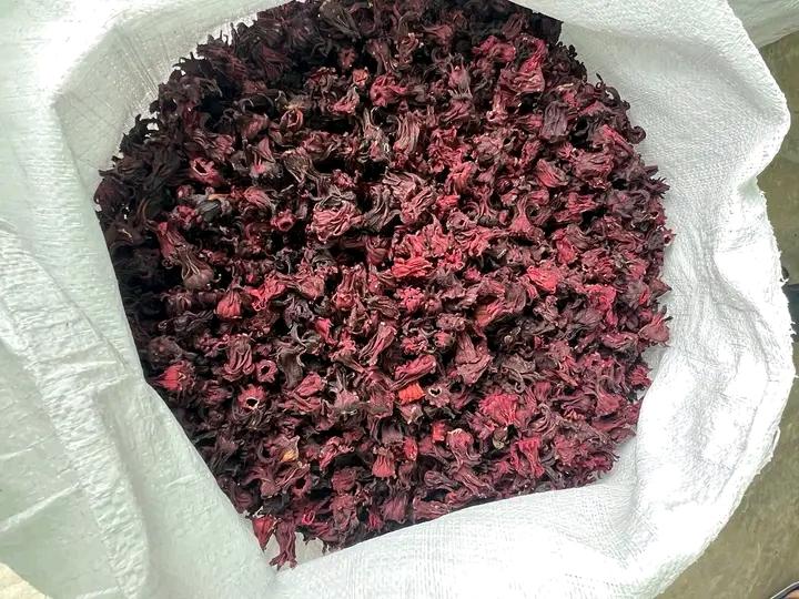 กระเจี๊ยบแดง ดอกสด/ดอกแห้ง/เมล็ดพันธุ์ 3