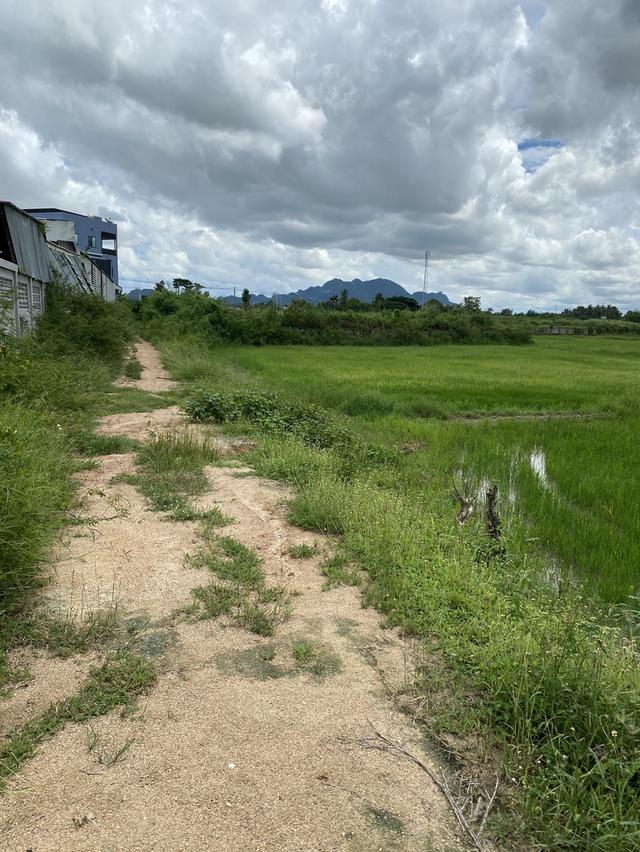 ขายที่ดินชะอำ 10-2-65 ไร่ ราคาไร่ละ 2,500,0000 ล้านบาท ใกล้ถนนเพชรเกษม 100ม. ห่างจากทะเลชะอำ 10 กม 7