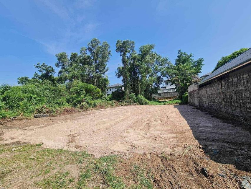 ขายที่ดินหนองปรือ พัทยา 80 ตรว. ซอยพรประภานิมิตร26 ใกล้อ่างเก็บน้ำมาบประชัน-4กม. อ.บางละมุง ชลบุรี 2