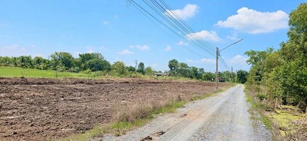 R002-3 ขายที่ดินหนองเสือคลอง11 #ขายที่ดินหนองเสือคลอง11ปทุมธานี  ที่ดิน70 ตรว.ราคา 299,000บาท สนใจโทร. 086 337 4861 เรณู. #ที่สวยทำเลดีติดถนนลาดยาง 7