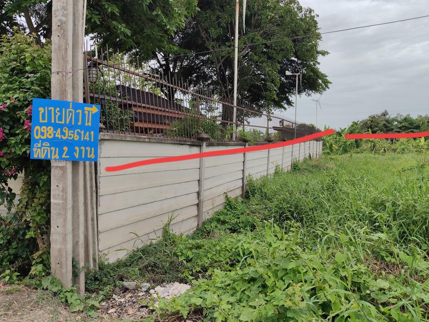ที่ดินเปล่า ขนาด 200 ตรว. 2