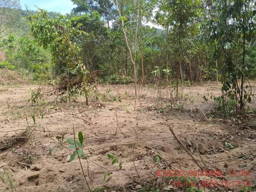 Land on Koh yao yai near the beach for sale 7