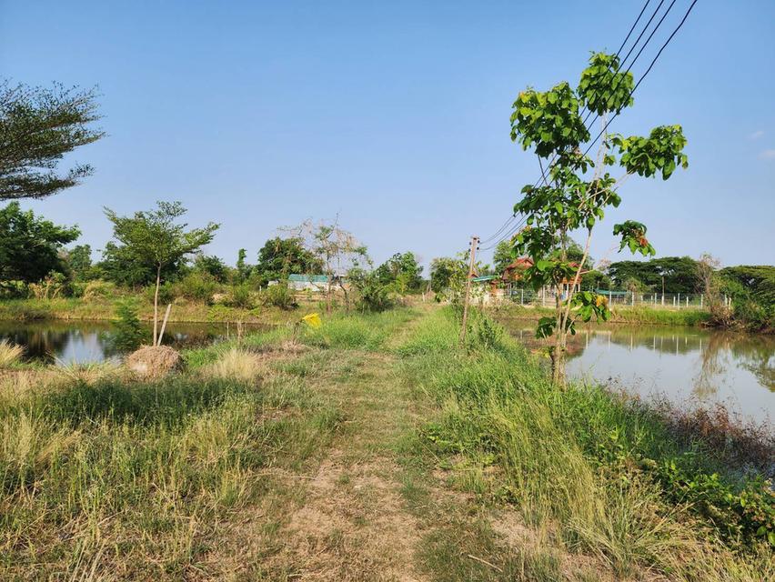 ขายที่ดินเปล่าใกล้เมืองขอนแก่น 8