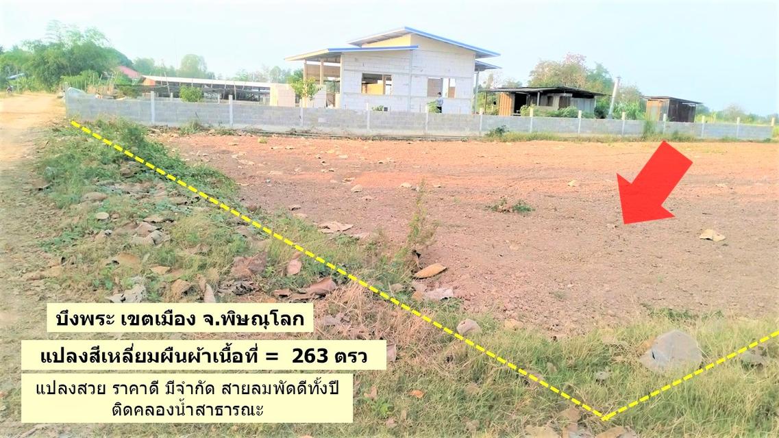 ที่ดินทำเลดี แปลงสวยโซนบึงพระใกล้เมืองพิษณุโลก 1