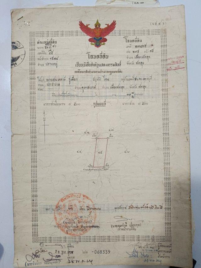 ขายที่ดินเปล่า ทำเลดี หน้าภูเขาอกทะลุ ห่างจากสถานีรถไฟ 500 เมตร จังหวัดพัทลุง 1