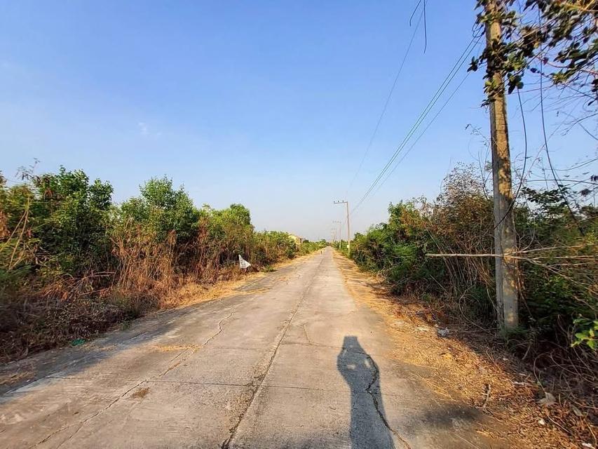 ขายด่วนที่ดิน 100 ตารางวา - ดี ติดถนนคอนกรีต 2 คลอง 12 หนองเสือ ปทุมธานี 8