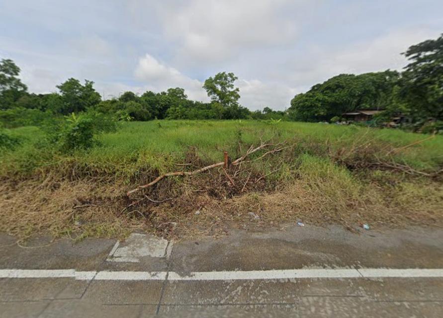 ขายที่ดิน 2 ไร่ ลำลูกกา ปทุมธานี ติดถนนสาธารณะ ราคาคุยกันได้ 6